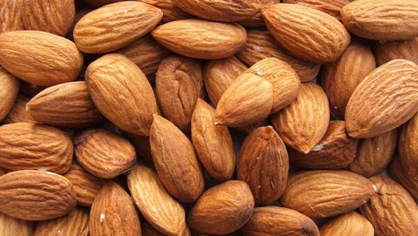 Gilgit-Baltistan Almonds